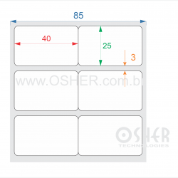 Etiqueta Adesiva Couchê 40  x 25  x 2 Geminada